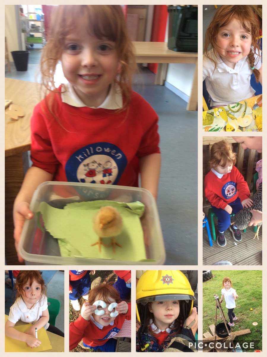 Killowen PS Lisburn tweet media