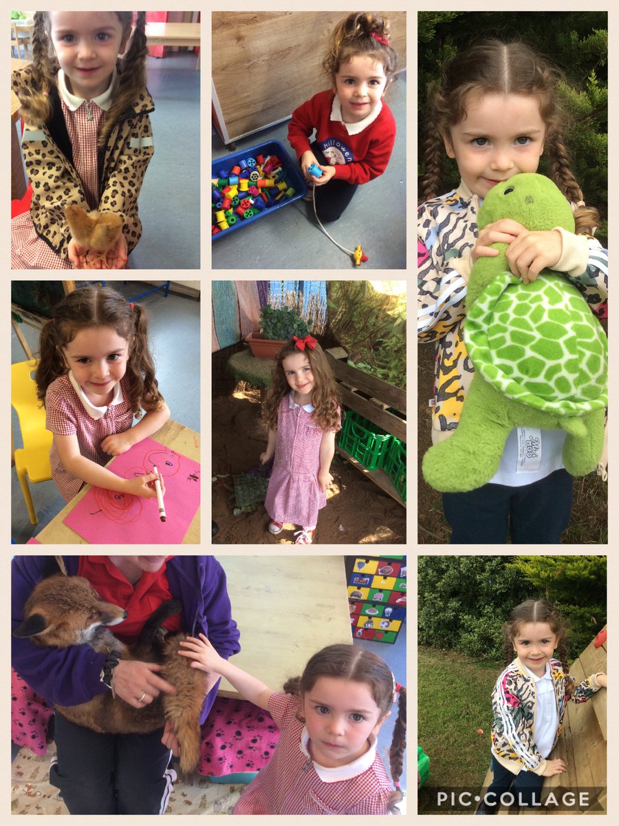 Killowen PS Lisburn tweet media