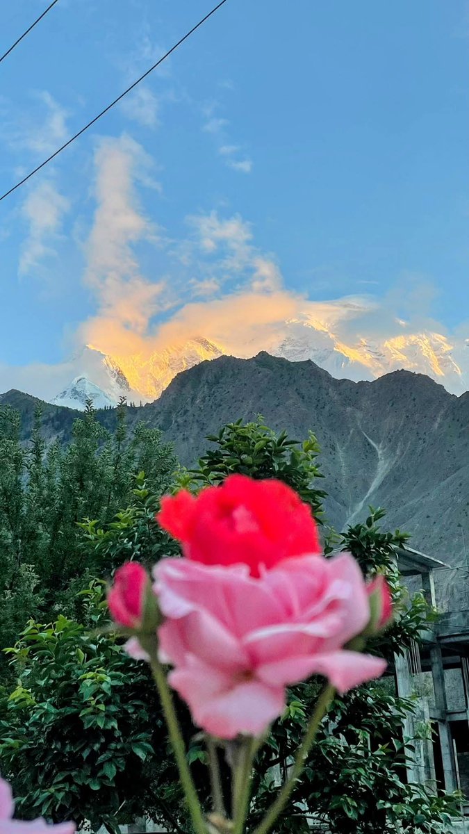Discover Pakistan  🇵🇰 | پاکستان (@pakistannature) on Twitter photo Rakaposhi, Pakistan 🇵🇰 Rakaposhi, Pakistan 🇵🇰