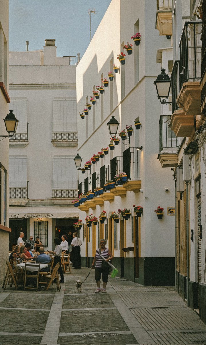 MrHalstead_'s tweet image. Todo el mundo debería pasar una tarde en Cádiz.