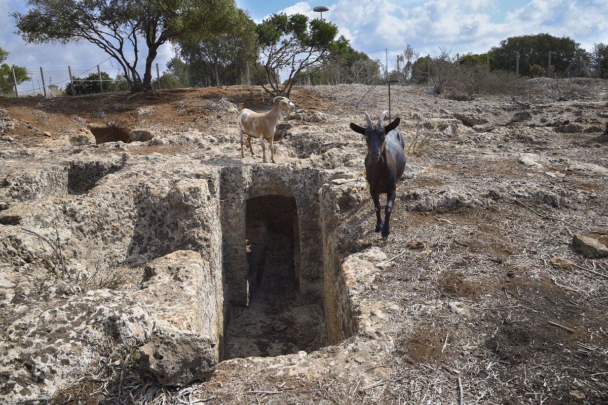 Dopo essere stata vista e descritta nella prima metà dell’'800 perfino dall’esploratore e archeologo inglese George Dennis, la necropoli di Civitavecchia, cadde nell’oblio. Finché, nel 2019, i volontari del gruppo archeologico romano ne hanno avviato la rinascita

Più su Archeo
