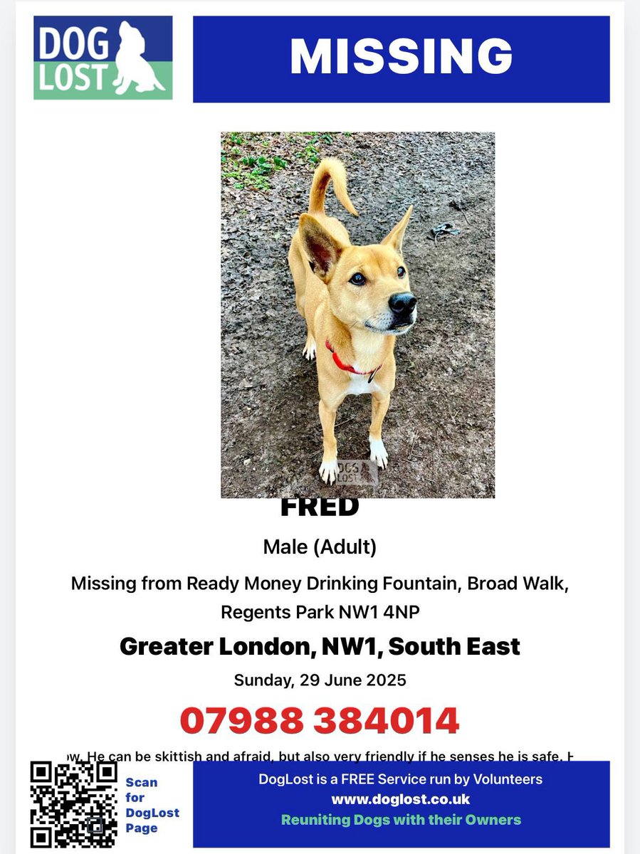 FIND MISSING ROXY UB9 tweet media