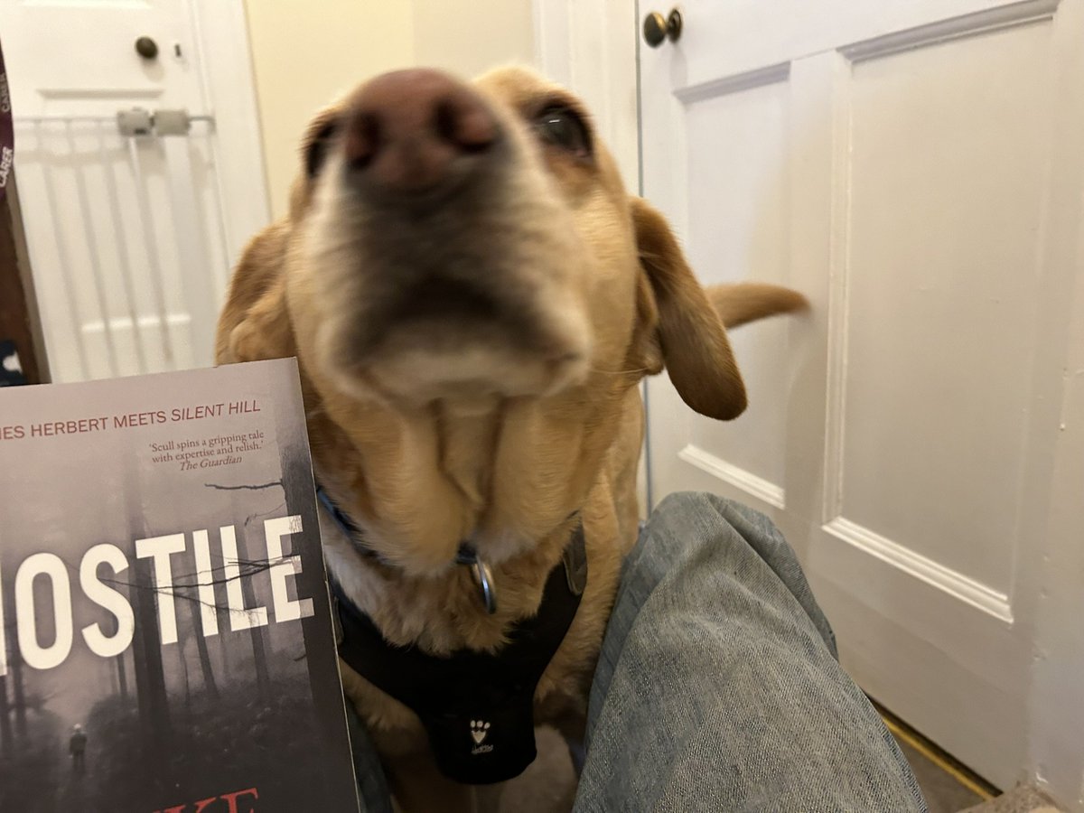 This is how it starts - but then...

<a href="/Luke_Scull/">Luke Scull</a>'s new horror, Hostile, is out today.

First he spoils pets for you, then he spoils going to the zoo. The bastard.

A great read, and not what you think it is to start.