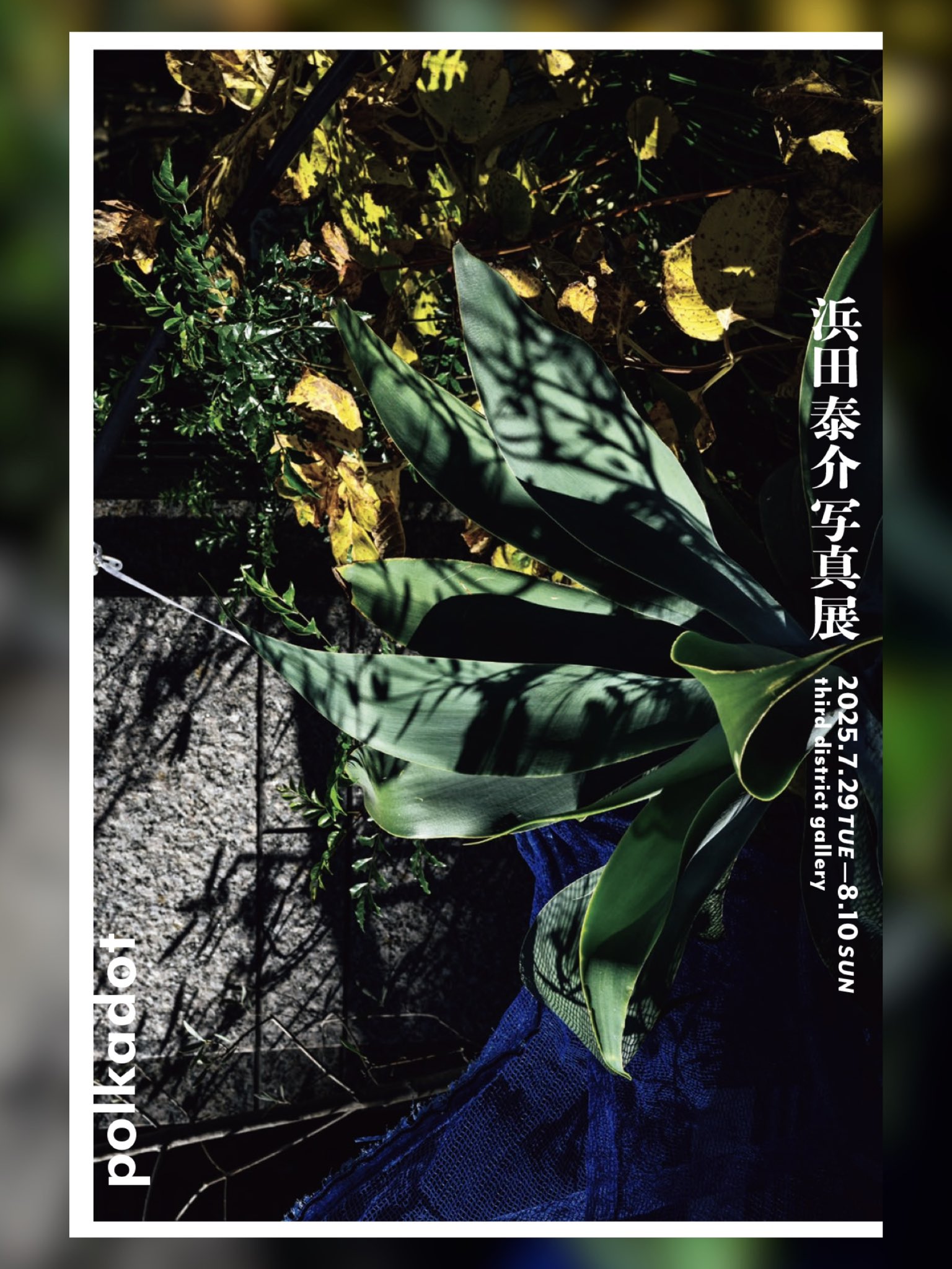 浜田泰介、【盛夏】、希少な額装用画集より、状態良好、新品額装付 浜田泰介の世界展 2024.4広島三越に向けて描き中です。 #浜田
