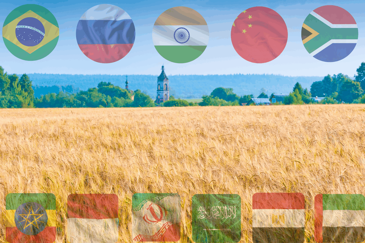 Russia is finalising the concept of establishing an inter-BRICS grain exchange and plans to present it to other BRICS members shortly.

Discover more!
👉 ow.ly/fCEB50Wibfj

#Russia #Grain #InterBRICS