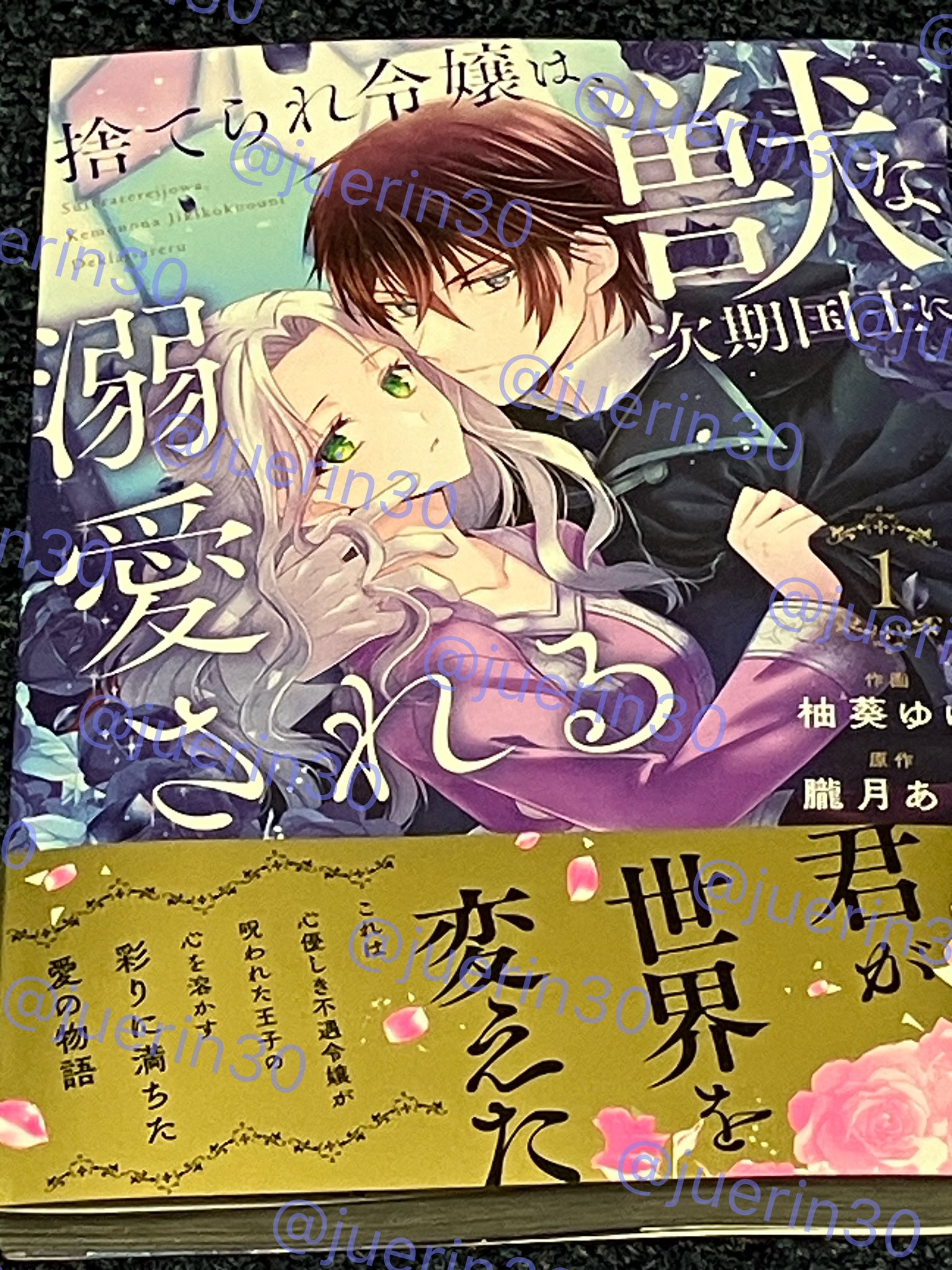 捨てられ令嬢は獣な次期国王に溺愛される - Search / X