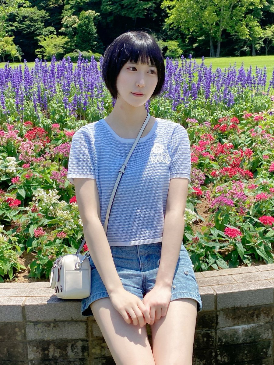 花壇の一員にしてください˖ ࣪⊹