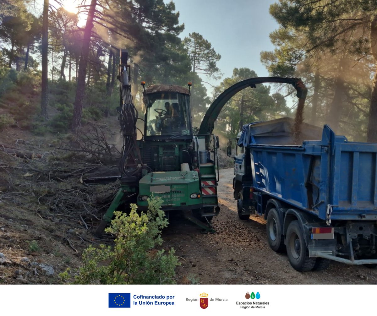 #ATENCIÓN 🚛 Tránsito de camiones por tratamientos silvícolas 💚
📆 Hasta el 15 de julio aproximadamente, habrá mucha circulación de camiones sacando el astillado producido por estos trabajos. (1/4)

#PrevenciónAlVisitante #EspNaturalesMur