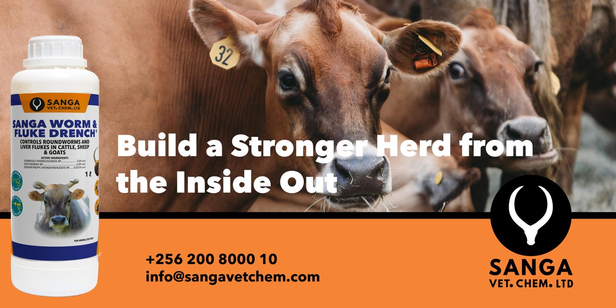 sangavetchem's tweet image. Worms and flukes can quietly damage your cattle's health and reduce fertility and productivity - but you can stay ahead of them.
Combine balanced nutrition and regular vaccinations with SANGA WORM & FLUKE DRENCH for complete and effective parasite control.
- Targets…