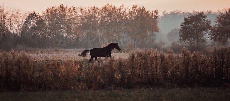 “Göç benim içimde, 
nereye gitsem varamadığım yerdeyim.”