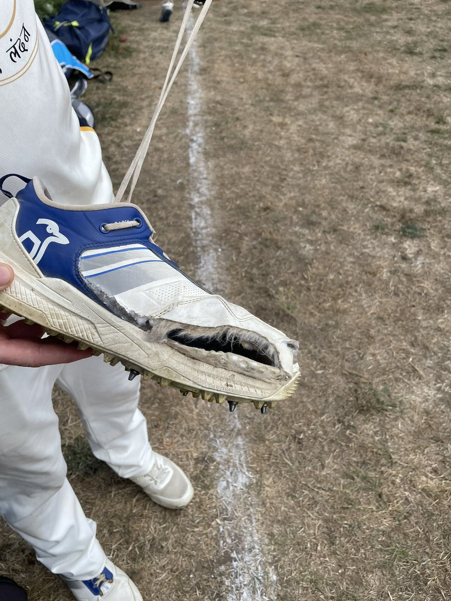 Dylan Clinton tweet media