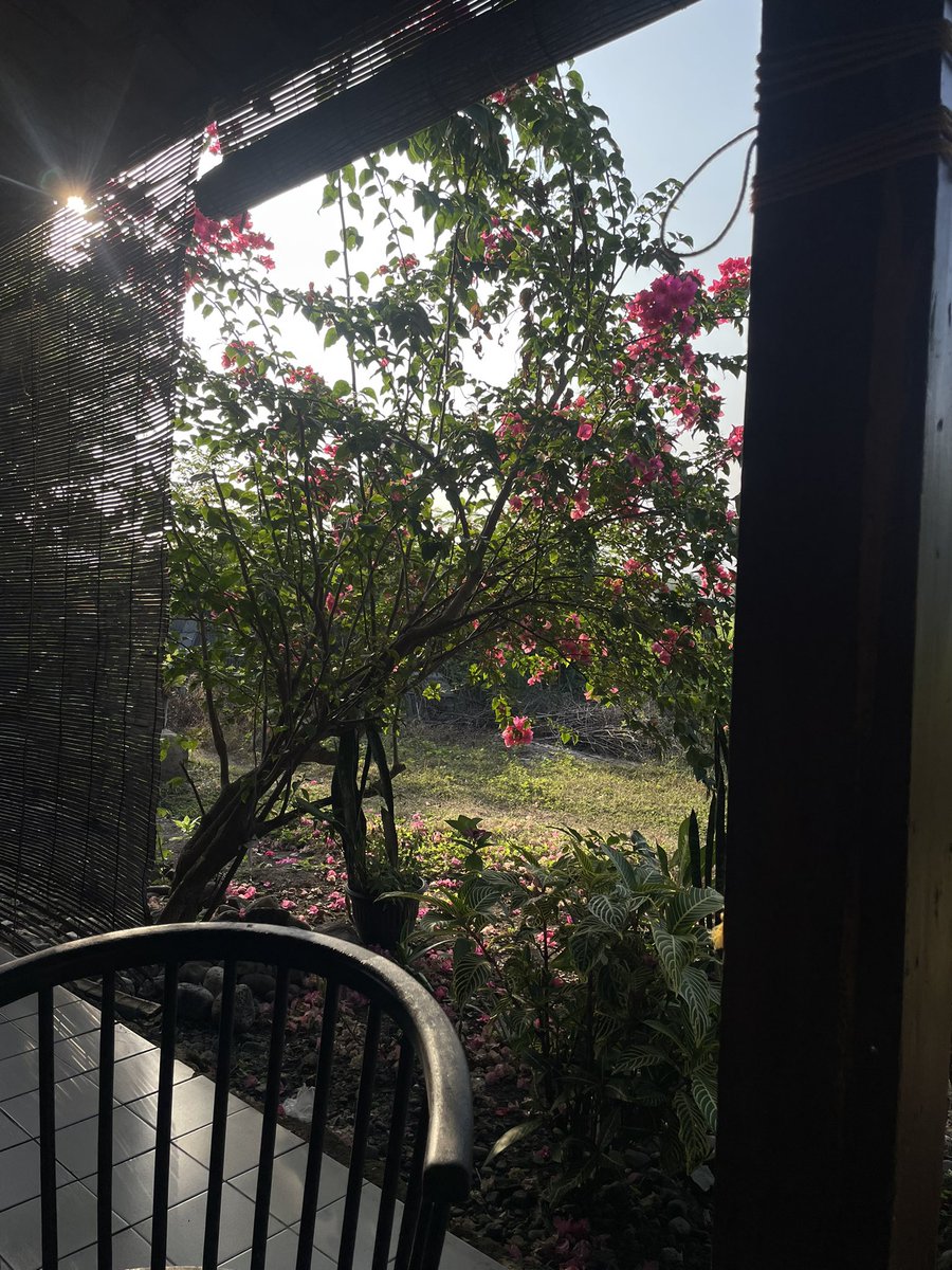 mimaoOo__'s tweet image. sebulan ke depan akun ini bakal jadi #ExploreKulonprogo 🤤