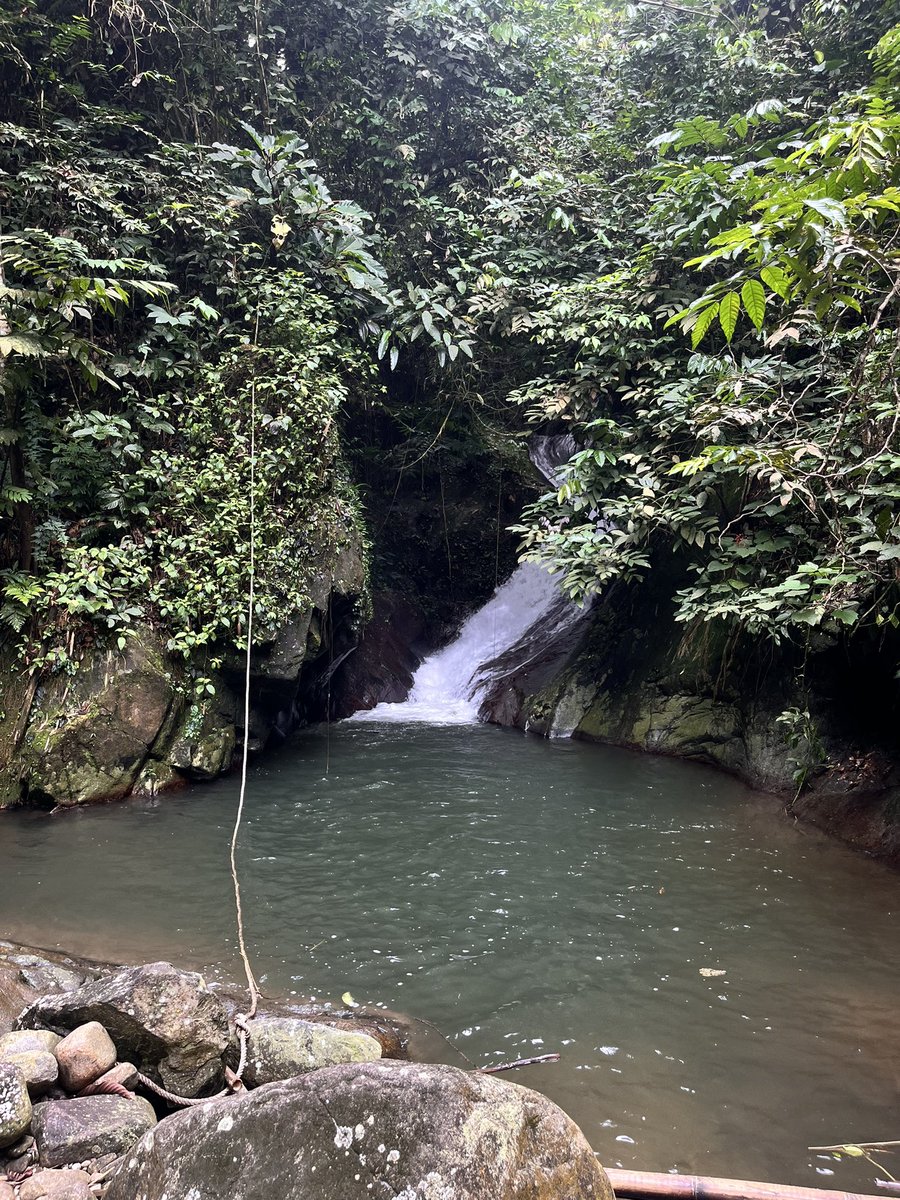 alfemhd's tweet photo. Dua waterfall satu tempat ✨🍃 
Tapi kalau suruh repeat nak pg satu je 🥵 https://t.co/lkG1uVg2q3