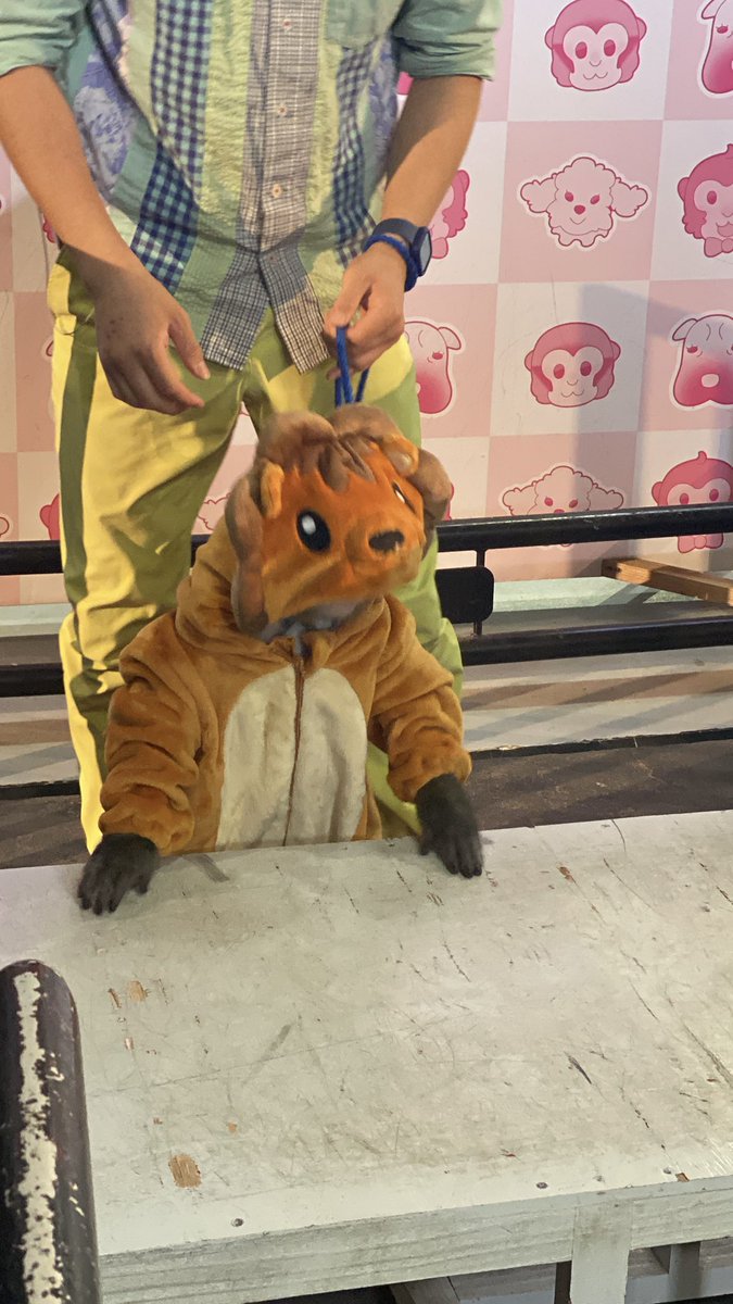 専用ルーちゃん♡ うさちゃんセーラーパーカー - Ank Rouge(アンクルージュ)の