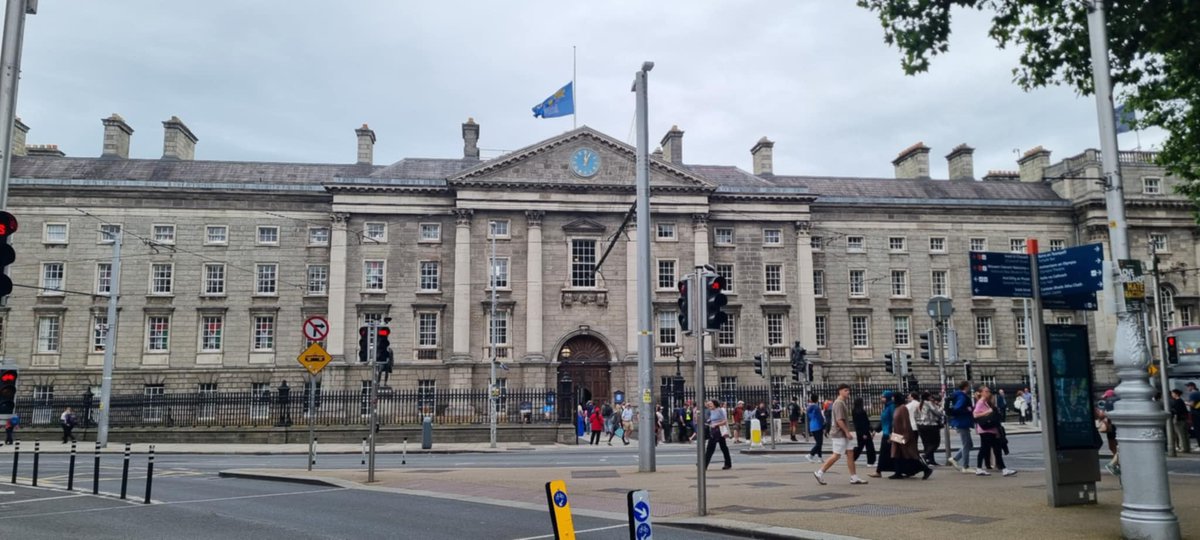 David Stone tweet media