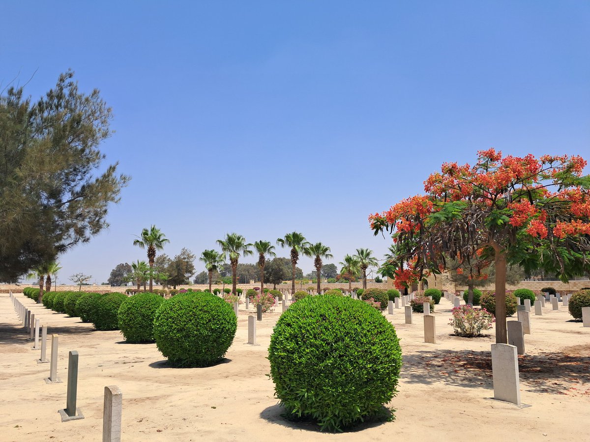 omara_diaa's tweet photo. Here lie the martyrs in Qantara Cemetery, their souls speak of courage and sacrifice.
@CWGC https://t.co/IyOb6KPoVq