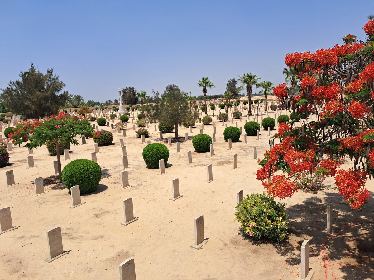 omara_diaa's tweet photo. Here lie the martyrs in Qantara Cemetery, their souls speak of courage and sacrifice.
@CWGC https://t.co/IyOb6KPoVq