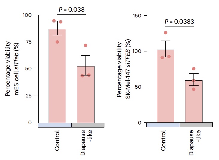 Antebi Lab tweet media