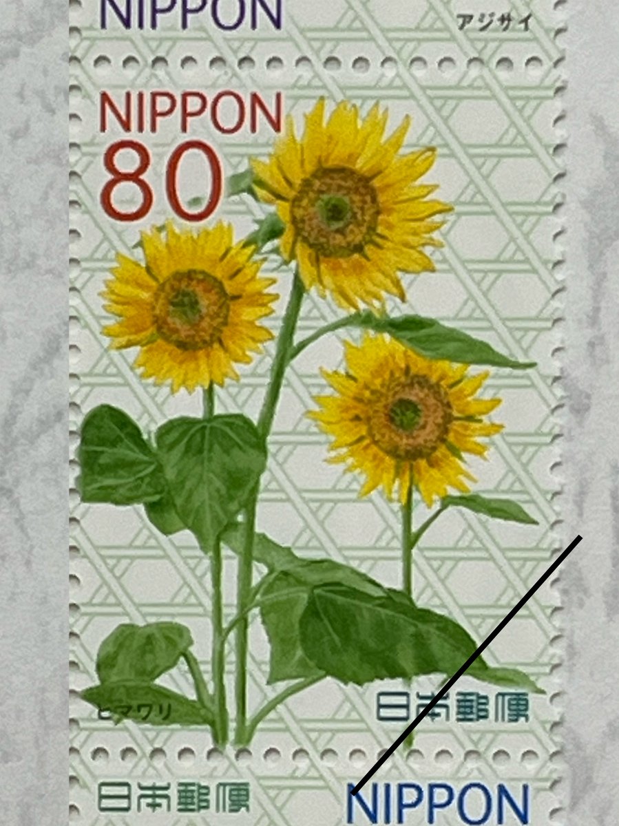 filter:images 南伊豆 AND (ひまわり OR ヒマワリ OR 向日葵