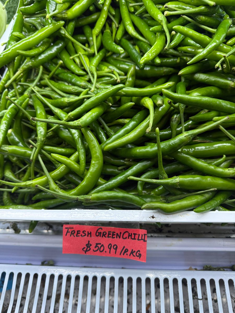 Vishal77 (@o77vishal) on Twitter photo Green chillies have officially joined the luxury goods list.
<a href="/AlboMP/">Anthony Albanese</a> - mate, should we add chillies to the Defence budget too, or are they just spicy enough to defend themselves?
#CostOfLiving <a href="/dailytelegraph/">The Daily Telegraph</a> <a href="/smh/">The Sydney Morning Herald</a> <a href="/2GB873/">2GB Sydney</a> <a href="/9NewsAUS/">9News Australia</a> <a href="/SkyNewsAust/">Sky News Australia</a> <a href="/BenFordhamLive/">Ben Fordham Live</a> Green chillies have officially joined the luxury goods list.
<a href="/AlboMP/">Anthony Albanese</a> - mate, should we add chillies to the Defence budget too, or are they just spicy enough to defend themselves?
#CostOfLiving <a href="/dailytelegraph/">The Daily Telegraph</a> <a href="/smh/">The Sydney Morning Herald</a> <a href="/2GB873/">2GB Sydney</a> <a href="/9NewsAUS/">9News Australia</a> <a href="/SkyNewsAust/">Sky News Australia</a> <a href="/BenFordhamLive/">Ben Fordham Live</a>