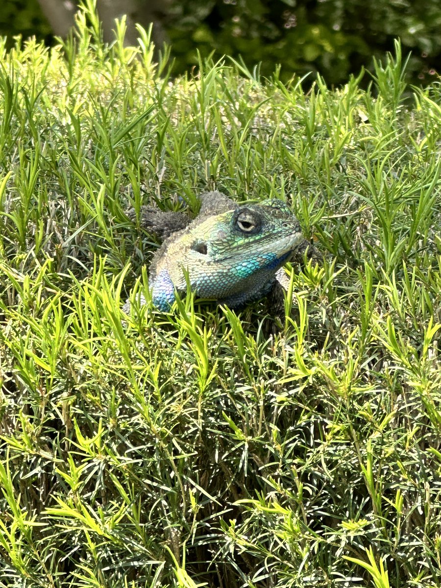 The beauty of picnics 🥹
