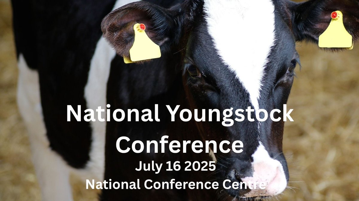 💥 Claim your 10% discount on National Youngstock Conference tickets!  Use code: ForfarmersNYC25  🐮 This year’s conference will offer presentations to meet everyone’s interest and needs. 

👉 Click here for further information - kont.ly/82de6f5e