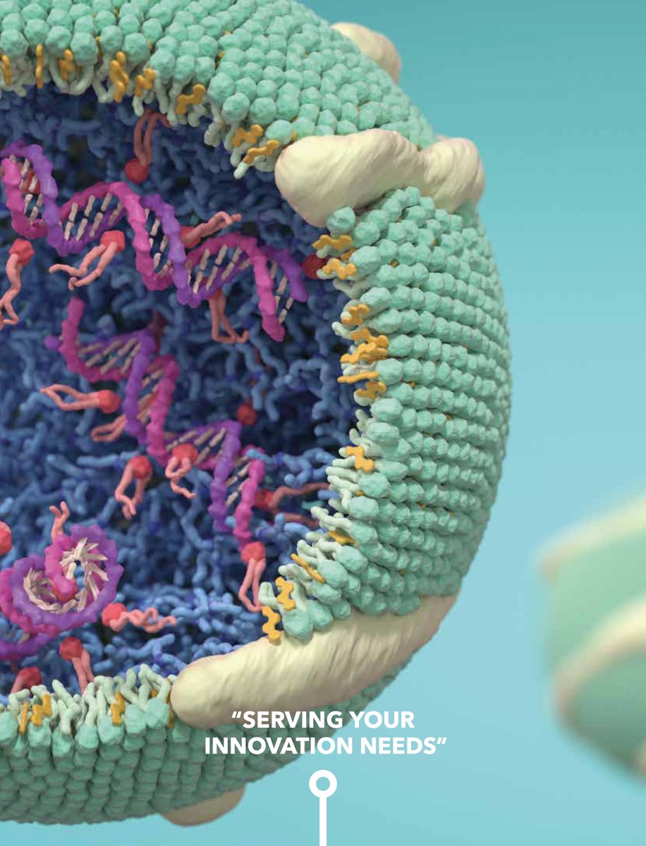 MulderLab (@willemnano) on Twitter photo Here you can read about our RNA delivery nanotechnology from PhD student <a href="/Stijn_Hofstraat/">Stijn Hofstraat</a>'s vantage point in the ICMS magazine. Very cool graphics by ICMS's animation studio.
tue.nl/en/research/re…
tue.nl/en/research/re… Here you can read about our RNA delivery nanotechnology from PhD student <a href="/Stijn_Hofstraat/">Stijn Hofstraat</a>'s vantage point in the ICMS magazine. Very cool graphics by ICMS's animation studio.
tue.nl/en/research/re…
tue.nl/en/research/re…