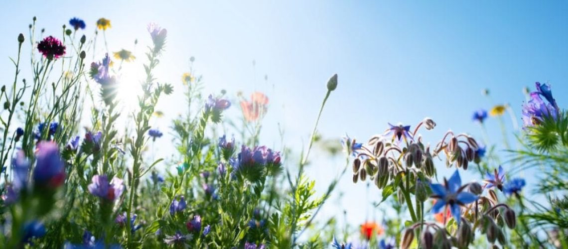 Vi finns här hela sommaren. Oavsett hur du har det hemma, du är inte ensam. Kontakta Invidzonen via chatt, mejl eller telefon. Mer info: invidzonen.se