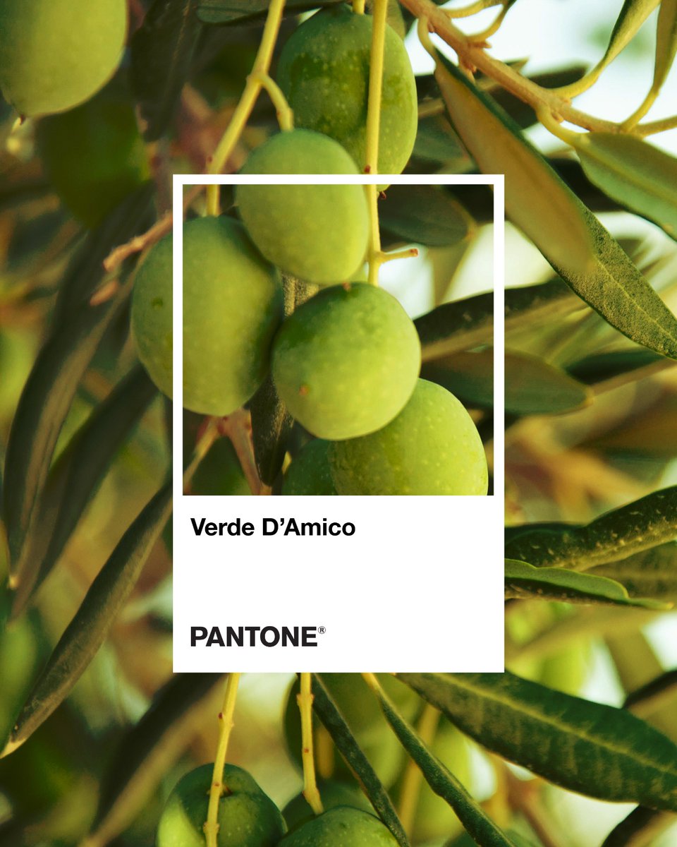 Il Verde D’Amico? È il nostro mondo, la nostra visione di stare a tavola.

È la freschezza dei nostri vasi, la scelta di ingredienti buoni, il verde della natura e delle ricette di casa che scaldano il cuore.

È il verde che ci guida. È il nostro.
-
#DAmico #VerdeDAmico #Pantone