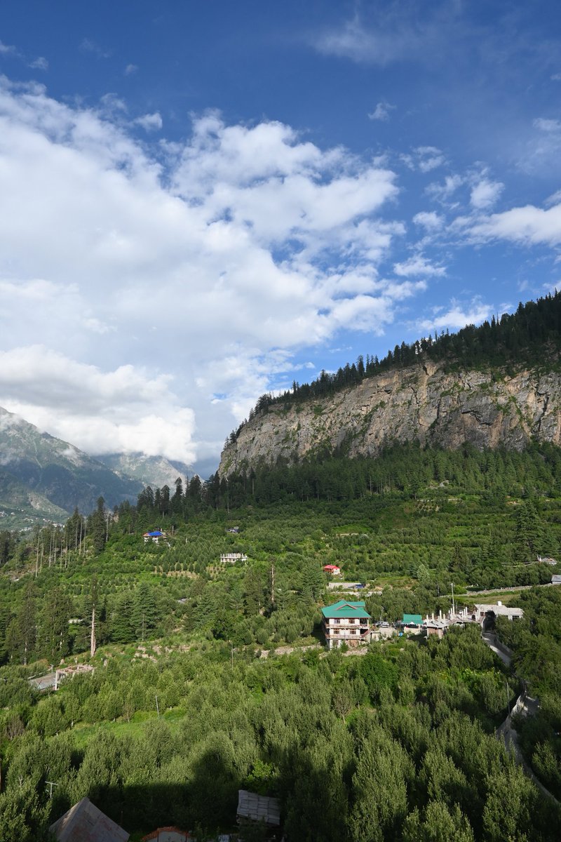 Arvind Negi tweet media