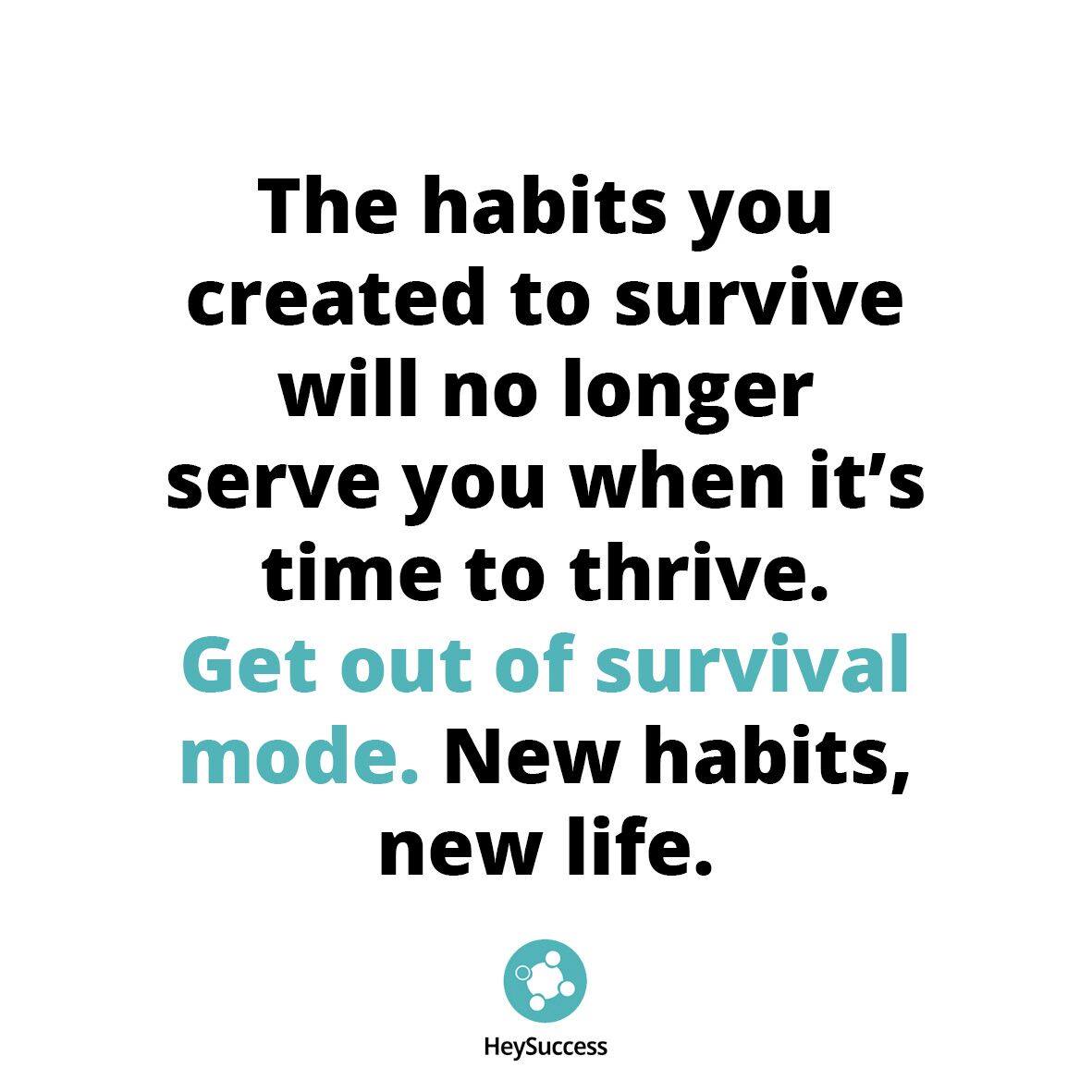 HeySuccess tweet media