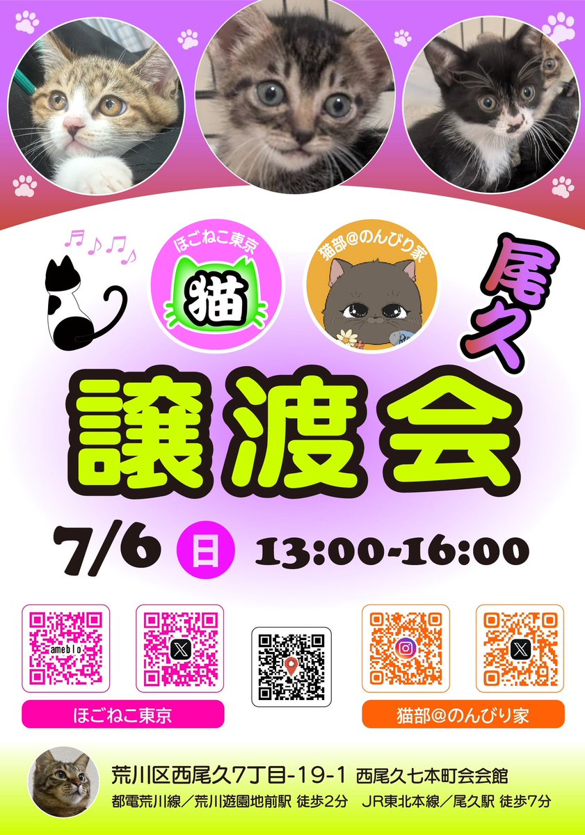 📢🐈ほご猫譲渡会in西尾久🌟保護猫と暮らそう❣️子猫ラッシュ🐱のこの時期、とても可愛い子猫から成猫ちゃん達🩷沢山参加致します✨みんなが幸せになります様に🍀     #保護猫 #譲渡会 #保護猫譲渡会 #保護猫と暮らそう #里親募集中 #荒川区 #子猫 #拡散希望 #保護活動