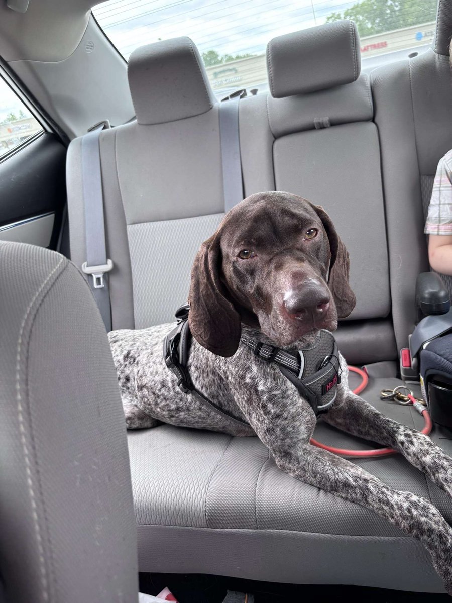 Gunz🌙 tweet media