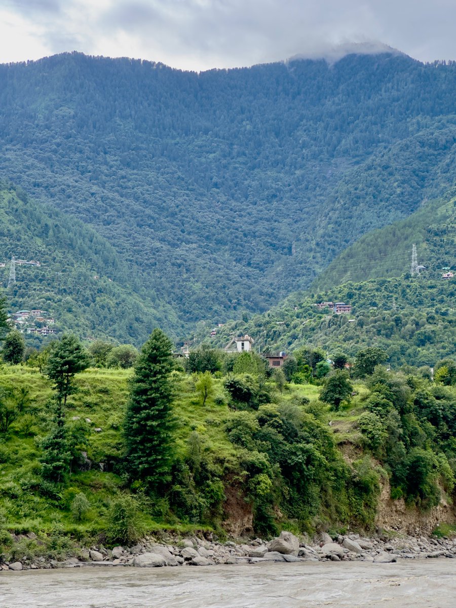 nazariyaa__'s tweet image. River Beas in its monsoon glory…fierce and free !
