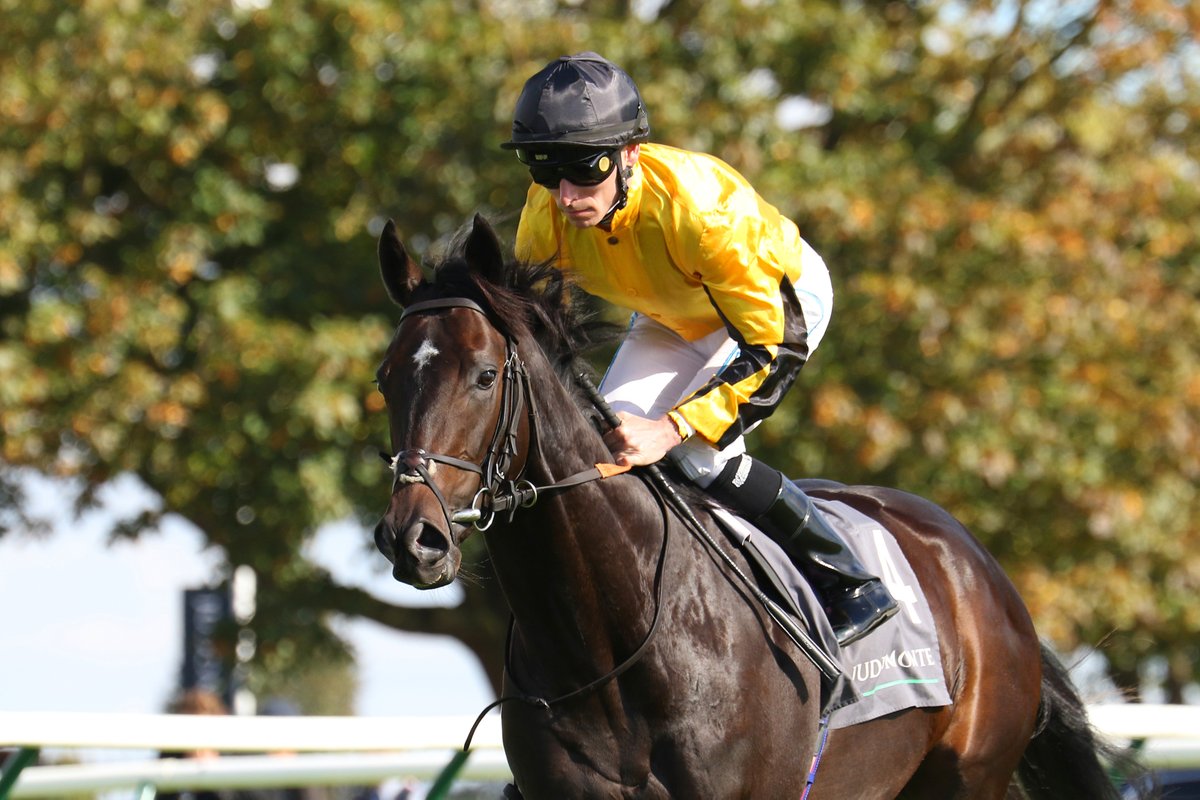 GBRI (@gbri_uk) on Twitter photo 🗣️ “The owners have taken a huge amount of enjoyment racing him so far!”
<a href="/FellowesRacing/">Charlie Fellowes</a> in search for more international success as LUTHER (GB) goes for Gr.1 Belmont Derby Invitational Stakes.
Read 🗞️ bit.ly/charlie-fellow… 🗣️ “The owners have taken a huge amount of enjoyment racing him so far!”
<a href="/FellowesRacing/">Charlie Fellowes</a> in search for more international success as LUTHER (GB) goes for Gr.1 Belmont Derby Invitational Stakes.
Read 🗞️ bit.ly/charlie-fellow…