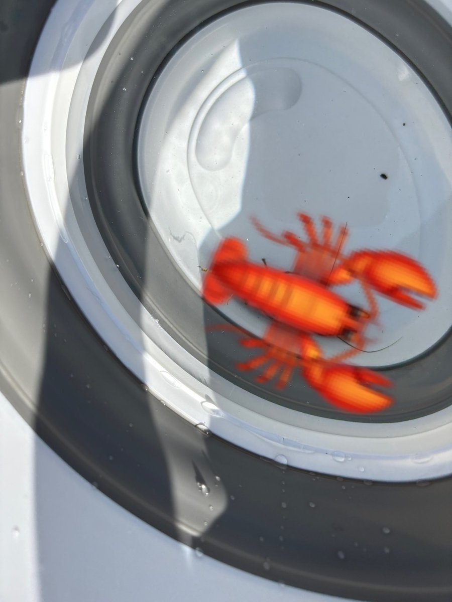 昨日は超くだらない理由で顎外れて（しかも自爆）、

今日はザリガニに挟まれて出血した💢💢

ﾏﾁﾞ病み…🦞