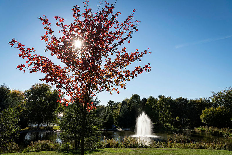 Job Vacancy at University of Bath: Research Assistant bath.ac.uk/jobs/AP12811 

We are hiring a Research Assistant to study the role of different extracellular matrices in heart regeneration.