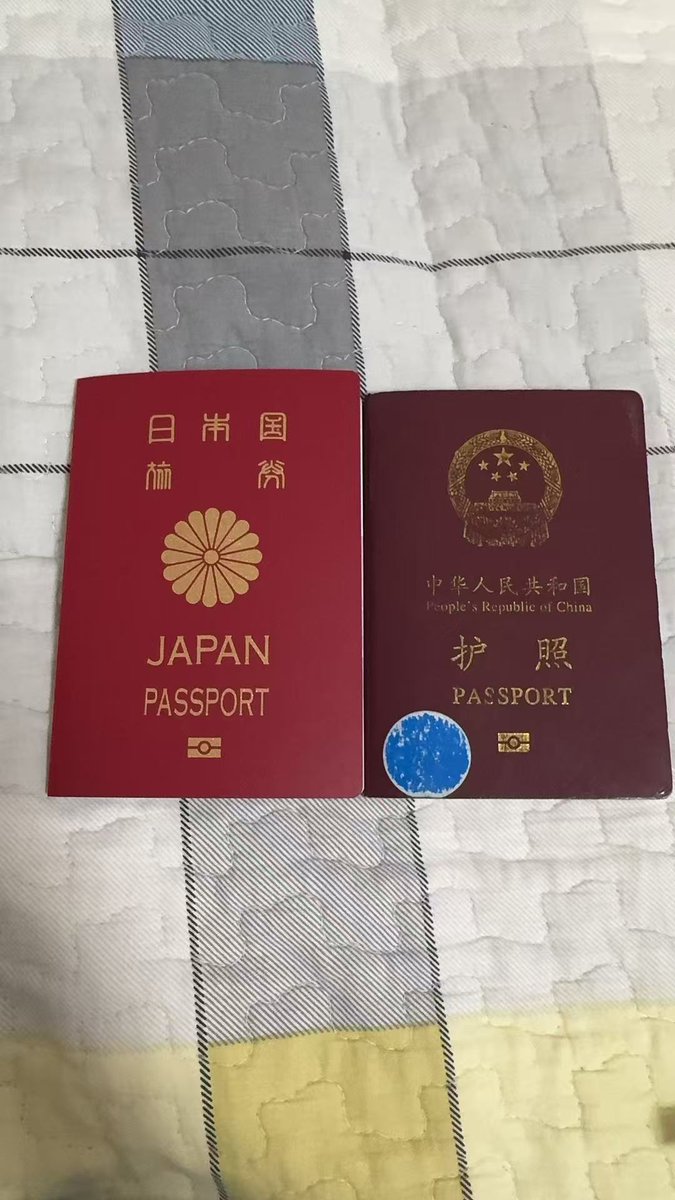 搞钱小鸟 tweet media