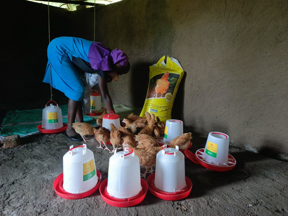 action_activate's tweet photo. We trained 20 vulnerable girls &amp; young women through our 6-week #StreetBusinessSchool program

With startup support, they’ve launched small businesses &amp; gained financial independence—boosting health, dignity &amp; choice. 
@ViiVHC @Kel_Brantner @LVCTKe @UN_Women https://t.co/l4cUVcsBcX