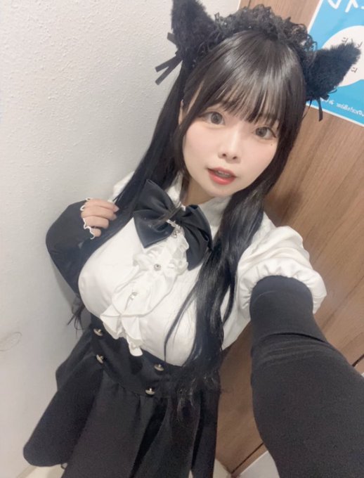 清楚な子猫ちゃんのcafe&barみゃおみゃおのツイート
