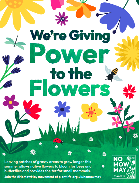 SocialResponUoM's tweet image. The University participated in No Mow May, leaving lawns and grassy areas uncut to support pollinators and urban biodiversity.
Find out more here: socialresponsibility.manchester.ac.uk/all-news/suppo…