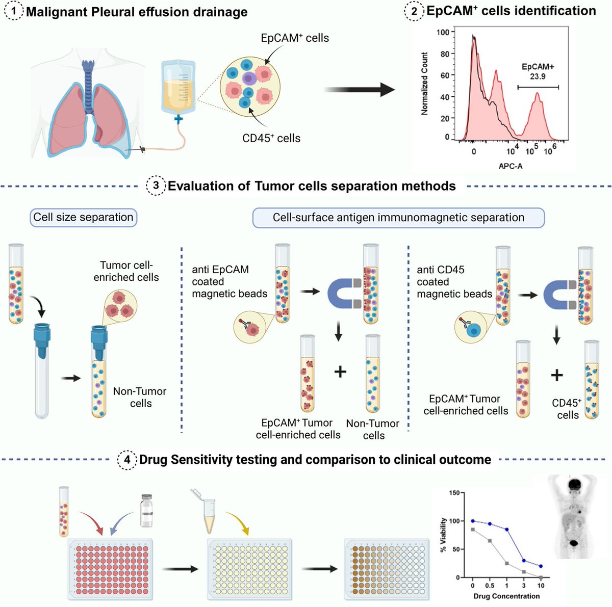 📣 New Method paper!

Evaluation and modification of tumor cell isolation techniques from malignant effusions for rapid drug sensitivity testing

👉 buff.ly/x2AGPRI

#EpCAM #LungCancer #PleuralEffusion