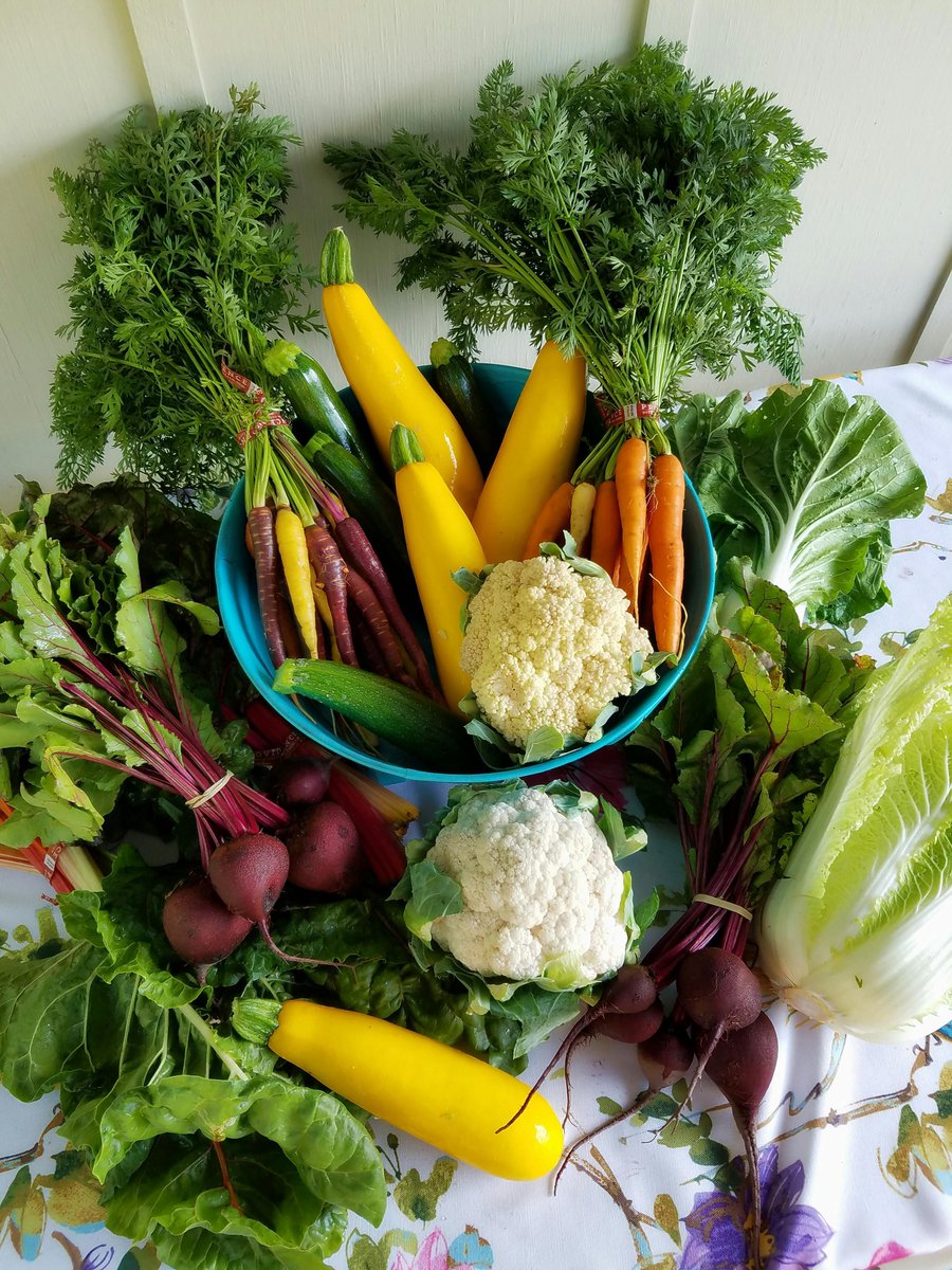 uncommonkitchen's tweet photo. Careful! Some Foods Can Stress Your Kidneys 

https://t.co/CKd3rgYcbf

Your kidneys filter waste and balance fluids, but certain foods can strain or harm them over time. Stay hydrated, check labels for sodium and phosphorus, and eat a variety of  whole foods.

#KidneyHealth https://t.co/eiuoIC8H1D