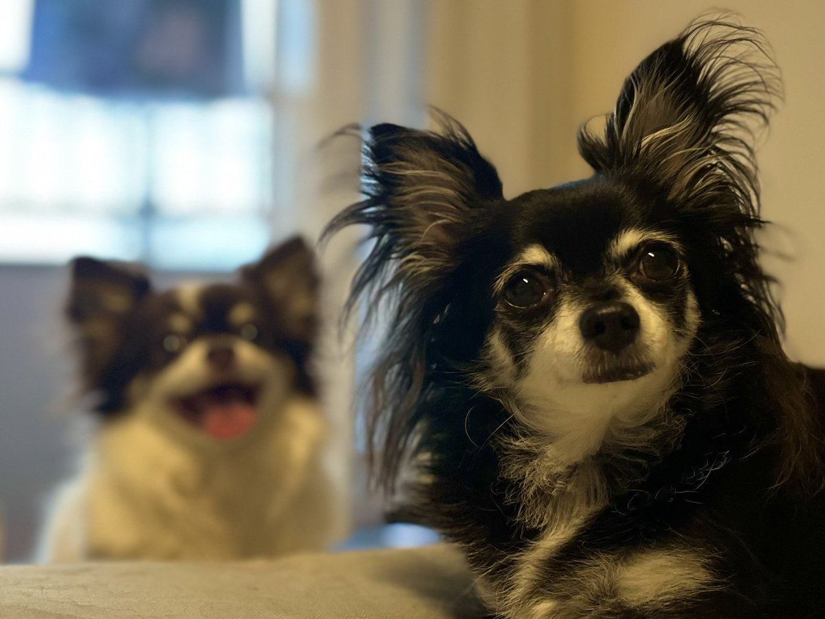 ちゃむ (@N8l7OTwweOmpuUA) / Posts / X