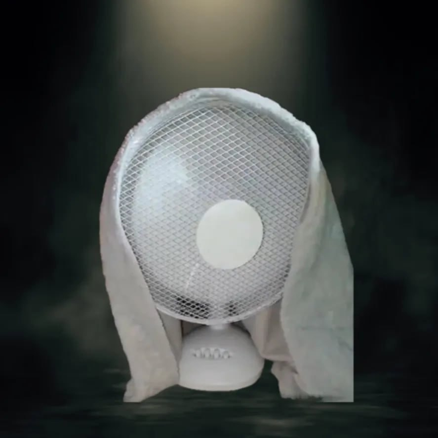 bellaagent7928's tweet photo. im a fan of the fan https://t.co/SyDd66BvpY