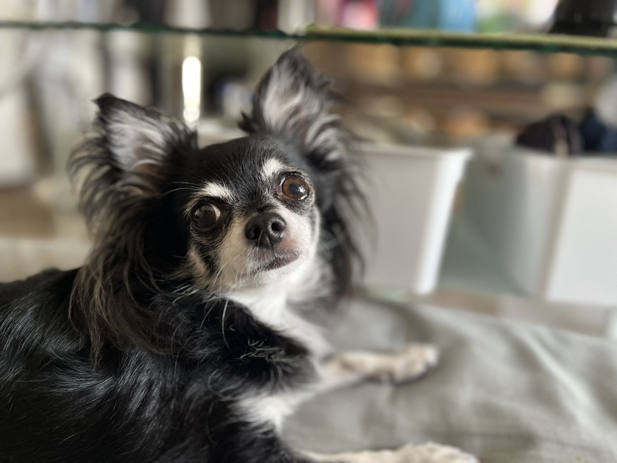 ちゃむ (@N8l7OTwweOmpuUA) / Posts / X