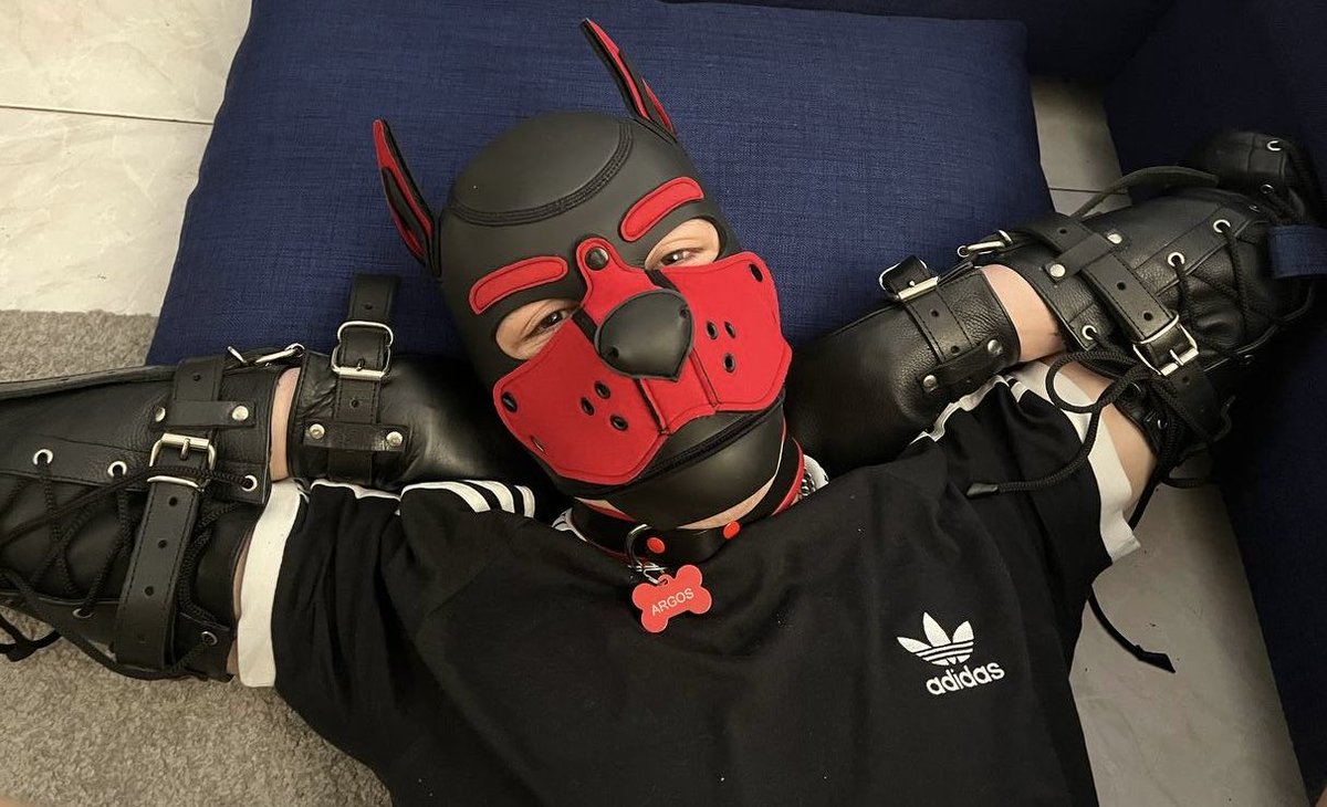 📸 : ⁦<a href="/AvoiderWilde/">Milo</a>⁩