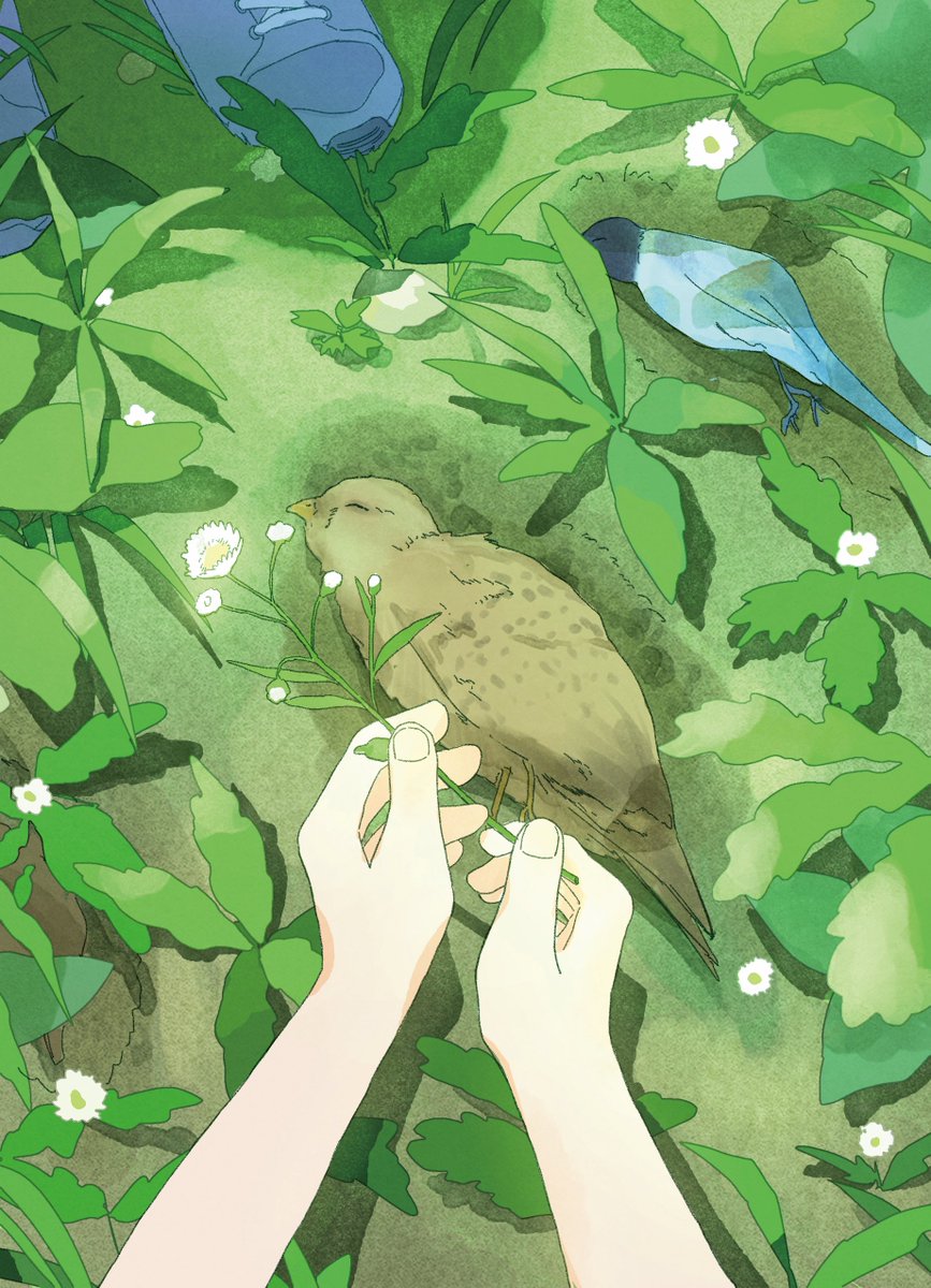 최근에 나온 새 동화책에 실린 그림들 중 몇장들🐥