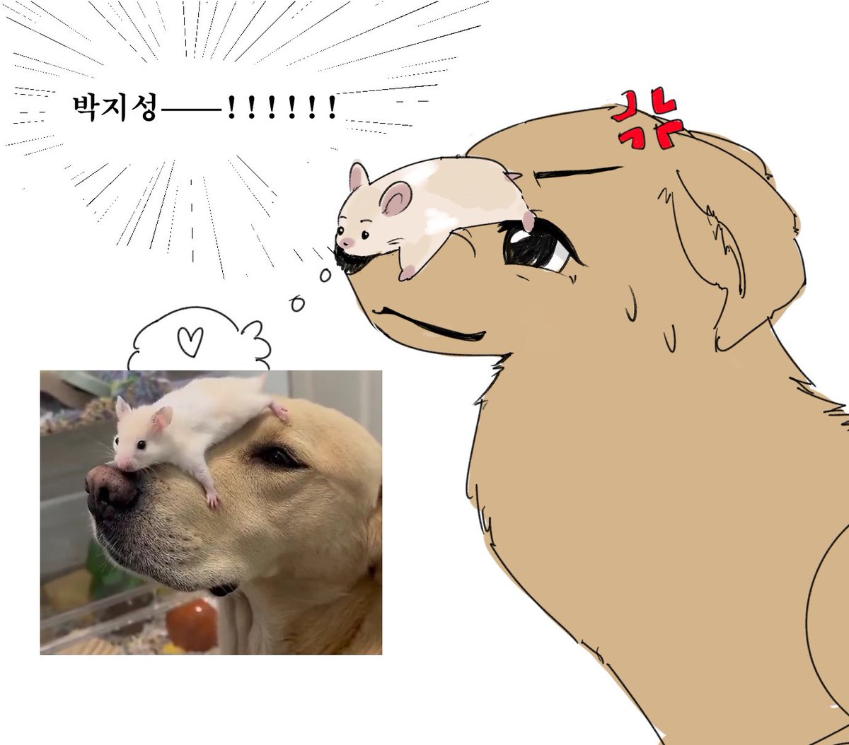 fffobbi's tweet photo. ㅈㅅ https://t.co/SA11cIFsfX