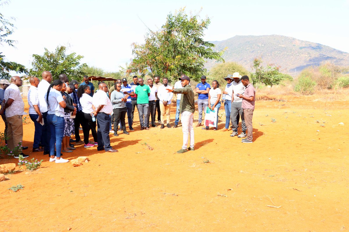 TaitaTaveta006's tweet photo. 3/5📍🌳 During a field visit to Ndii Early Childhood Development Centre, participants explored how to use the #RegreeningApp to track and monitor restoration efforts. The site is part of the #FLLoCA restoration initiative🌱📲 #ClimateAction #SustainableDevelopment https://t.co/nKsD9XbCE1